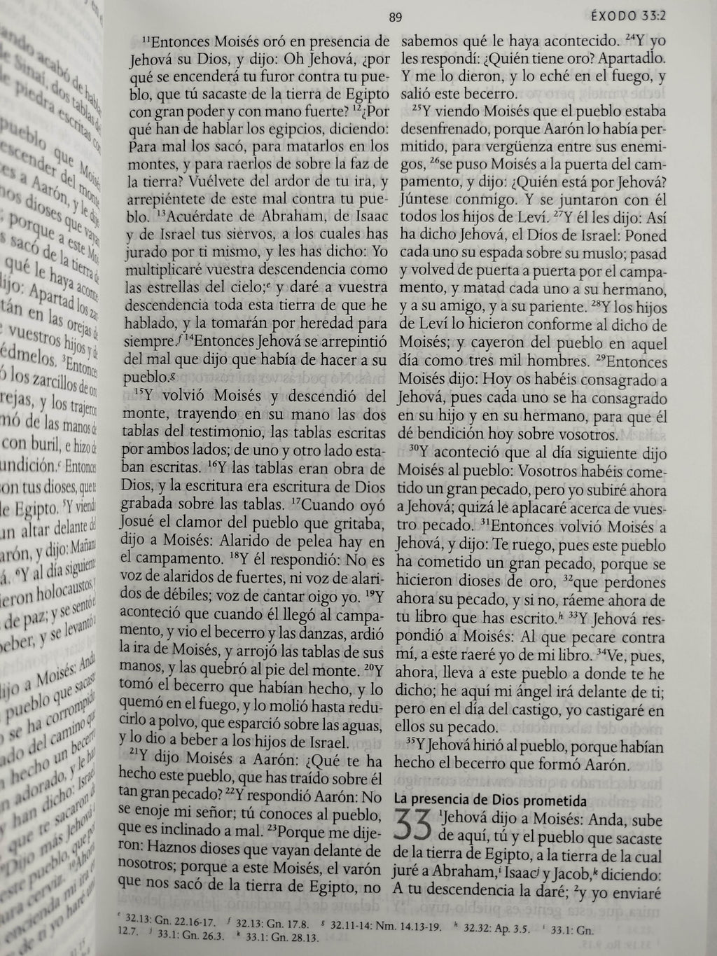 Biblia RVR 1960 letra grande tamaño manual, TD León de Judá rosada (Edición cantos pintados) by Cipriano Valera