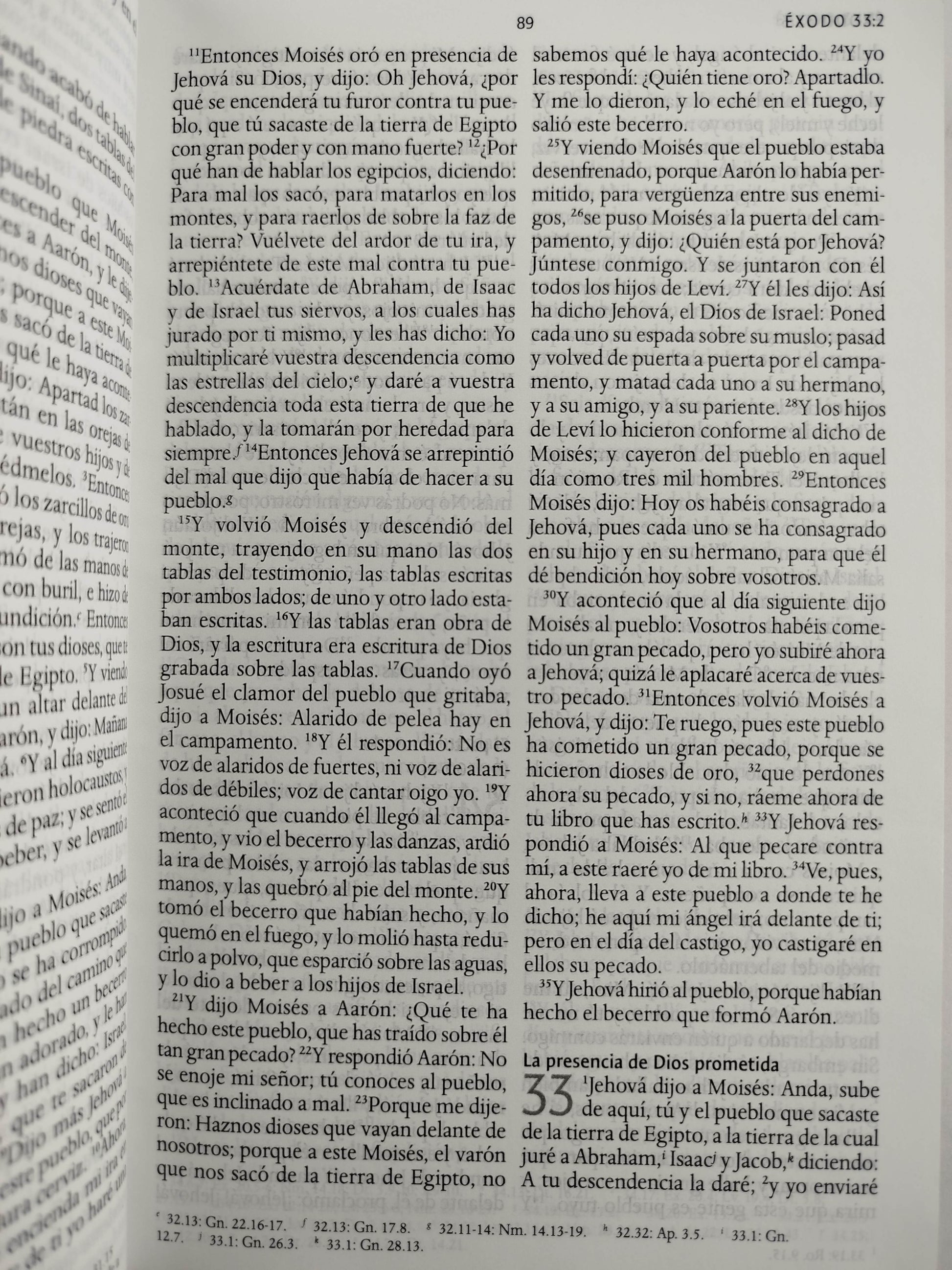 Biblia RVR 1960 letra grande tamaño manual, TD León de Judá rosada (Edición cantos pintados) by Cipriano Valera