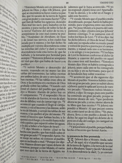 Biblia RVR 1960 letra grande tamaño manual, TD León de Judá rosada (Edición cantos pintados) by Cipriano Valera