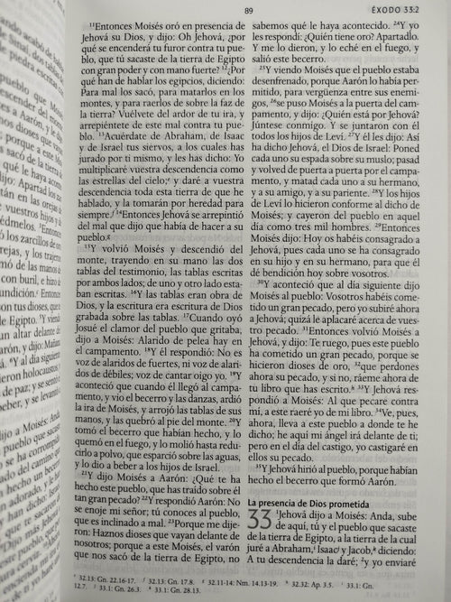 Biblia RVR 1960 letra grande tamaño manual, TD León de Judá rosada (Edición cantos pintados) by Cipriano Valera