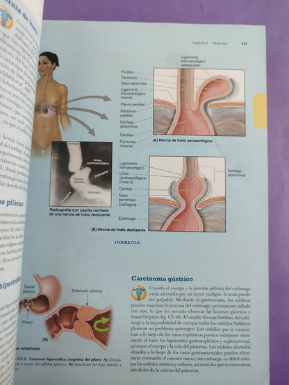 Anatomía con orientación clínica séptima edición by Keith L. Moore