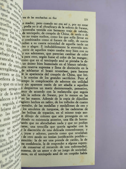 En busca del tiempo perdido 2. A la sombra de las muchachas en flor