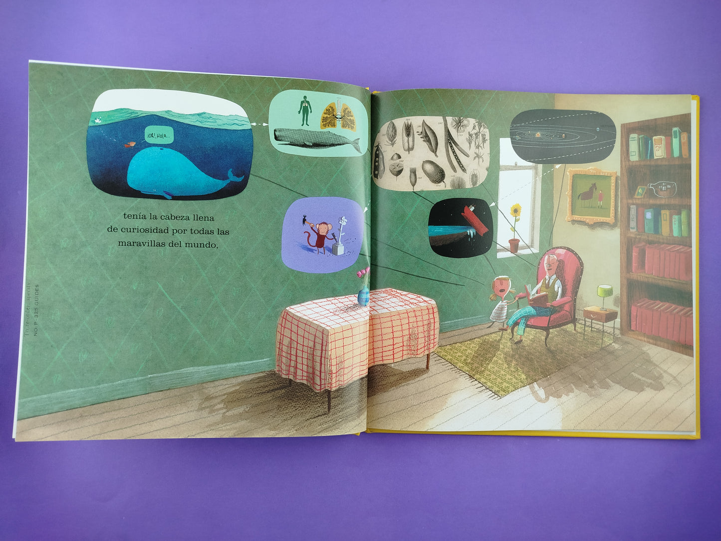 El corazón y la botella by Oliver Jeffers