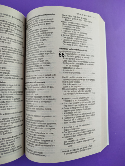 Biblia rvr 1960 misionera azul claro - rosado by Reina Valera 1960