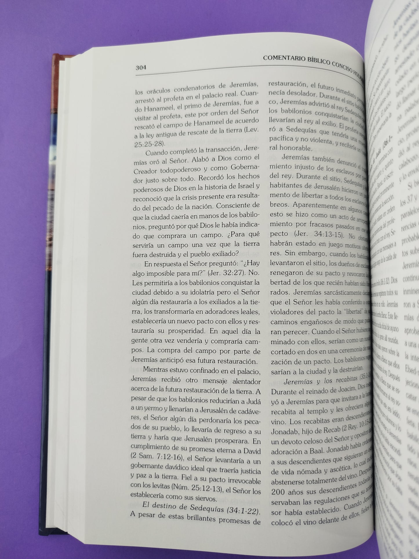 Comentario bíblico conciso holman