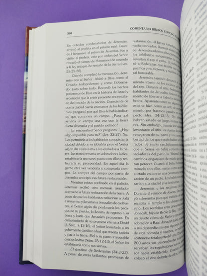 Comentario bíblico conciso holman