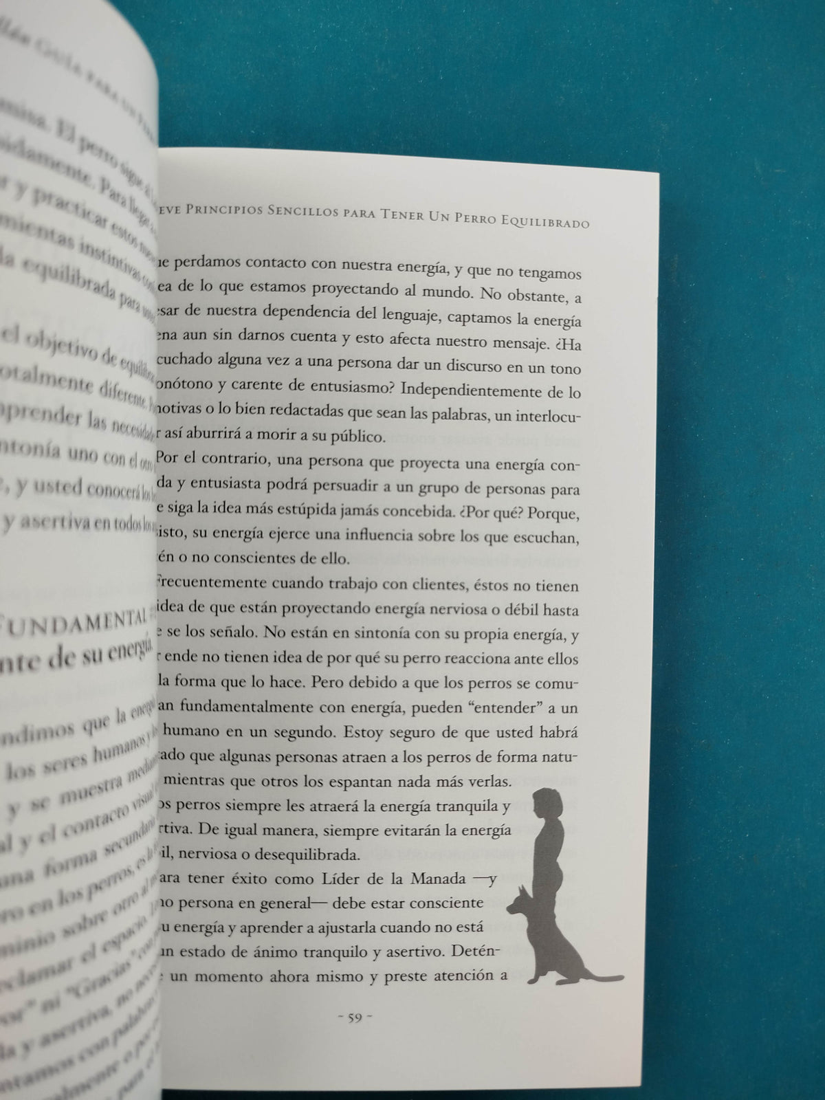 Guía Para un Perro Felíz by César Millán