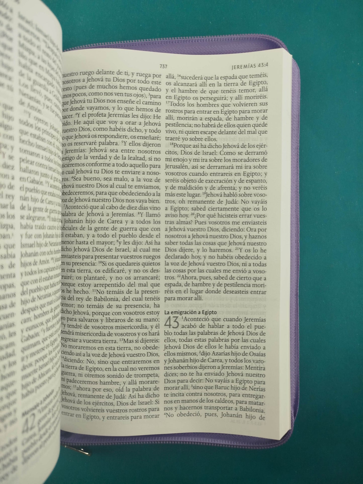 Biblia RVR 1960 Letra Grande con Estuche lila Nacarado