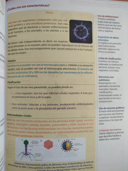 Ideas lenguaje 6 by varios