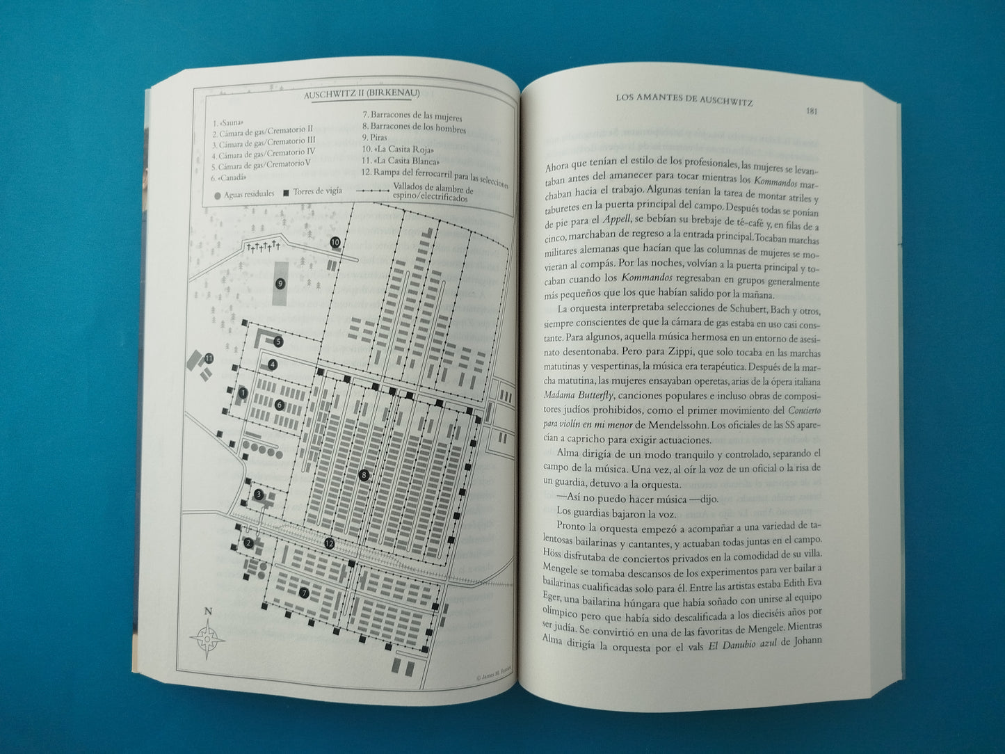 Los amantes de Auschwitz Una historia real