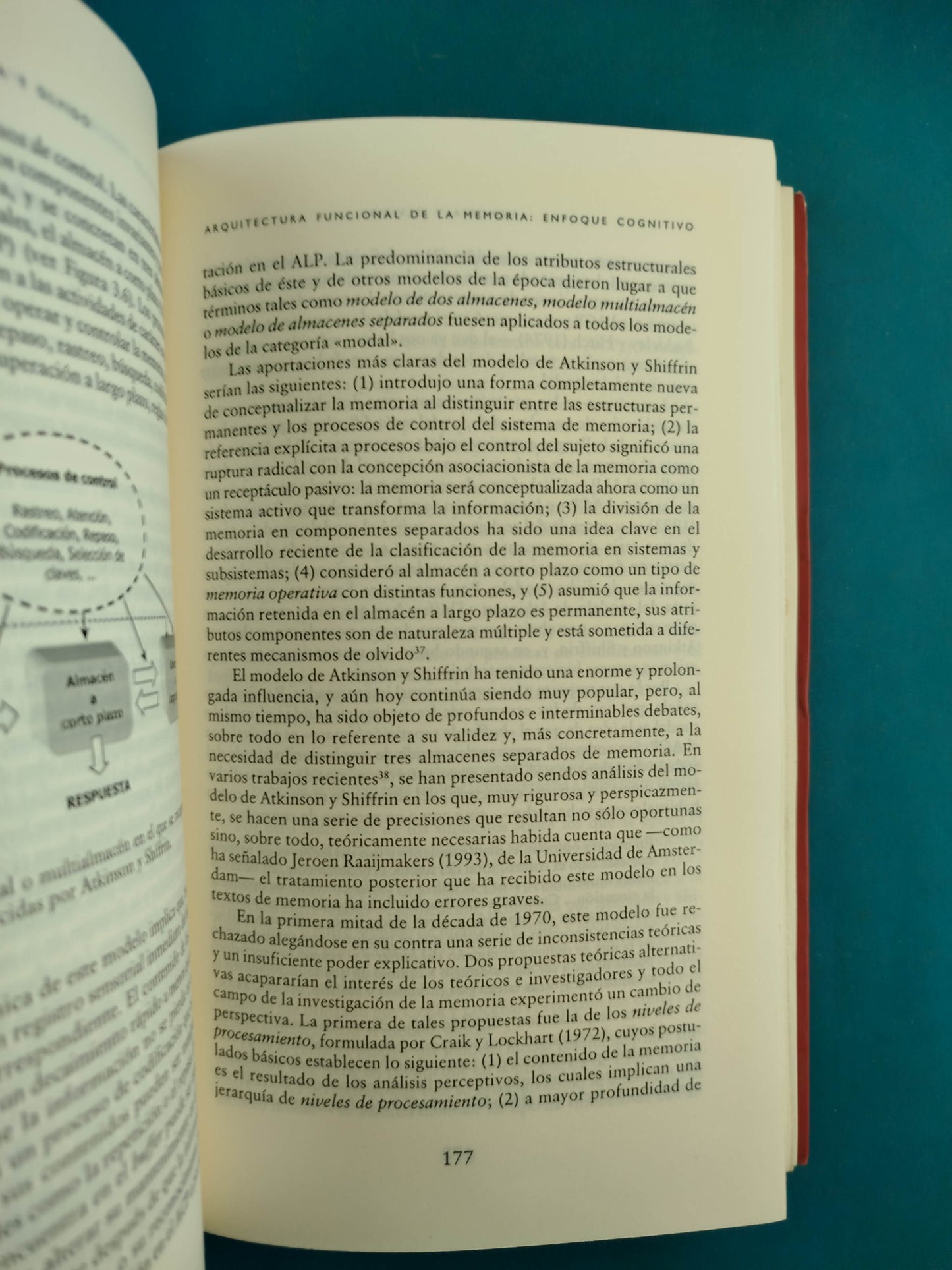 Memoria y Olvido: Perspectivas Evolucionista, Cognitiva y Neurocognitiva