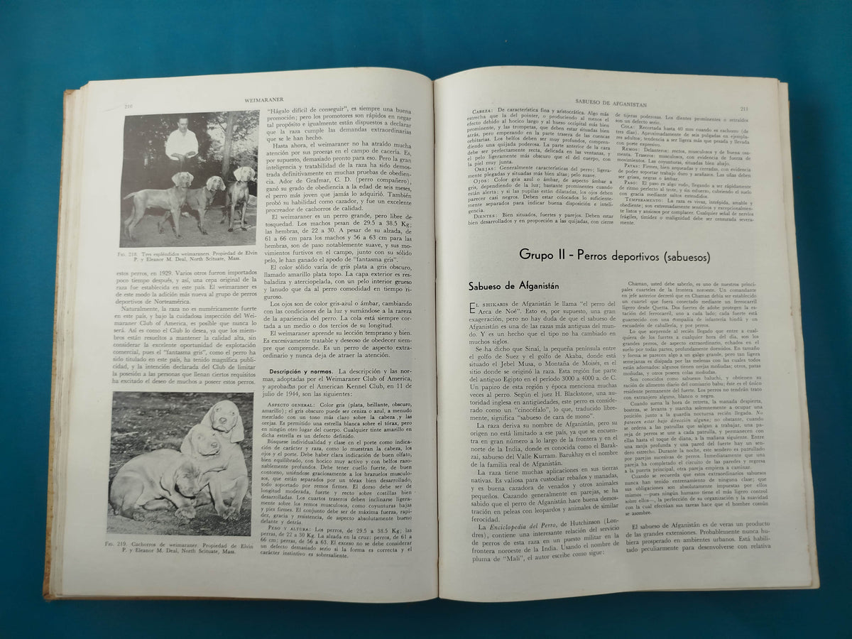 Enciclopedia Moderna del Perro by Henry P. Davis