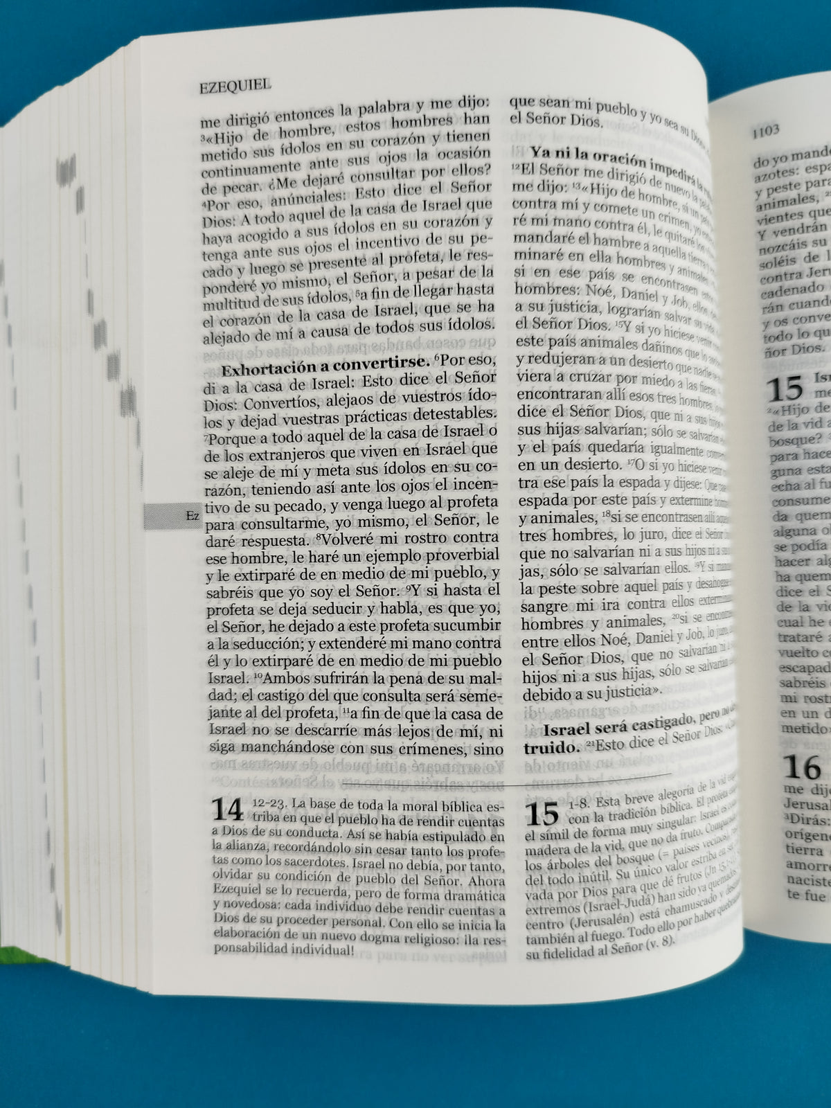 Biblia hormiguitas pasta dura una historia de amor by San Pablo