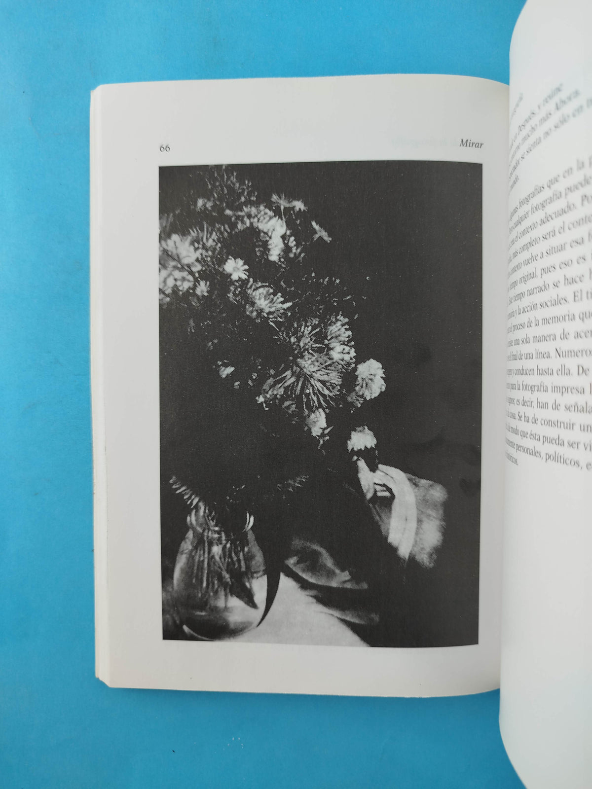 Mirar by John Berger