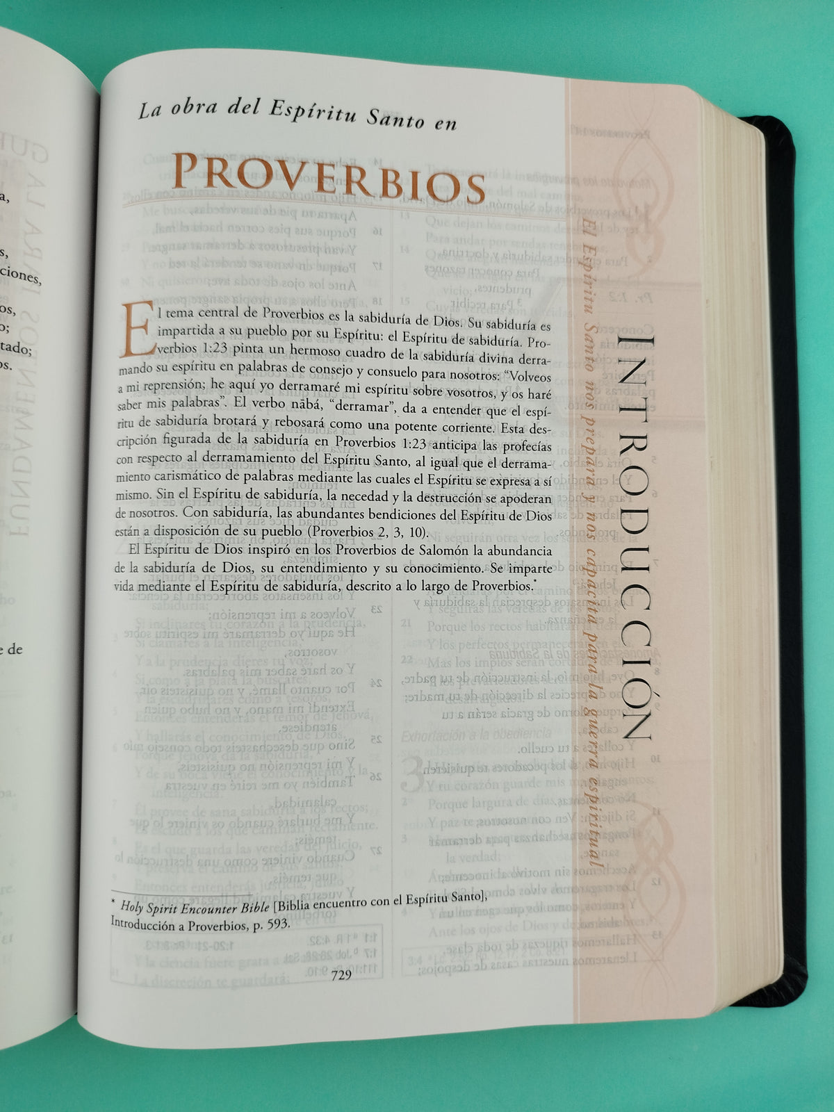Biblia Guerra Espiritual Semipiel Negra by libreriatroya.com