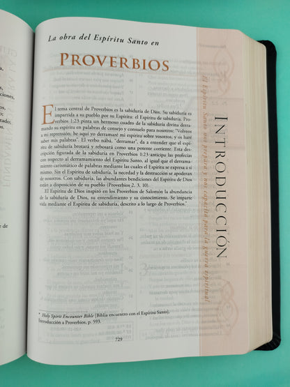 Biblia Guerra Espiritual Semipiel Negra