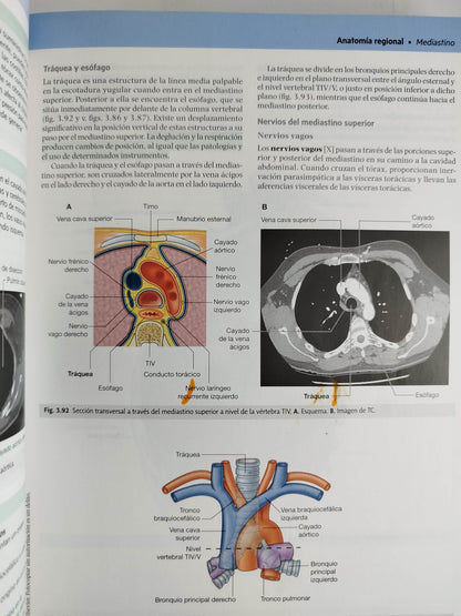 Gray anatomía para estudiantes cuarta edición by DRAKE VOGL MITCHELL