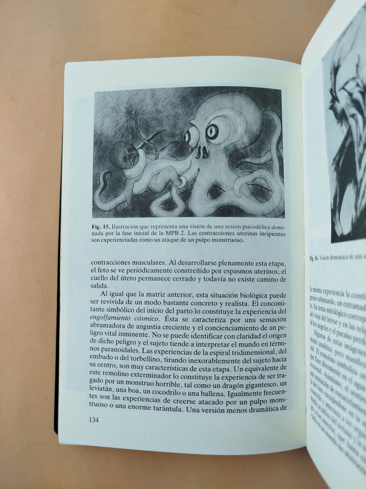 Psicología Transpersonal by Stanislav Grof