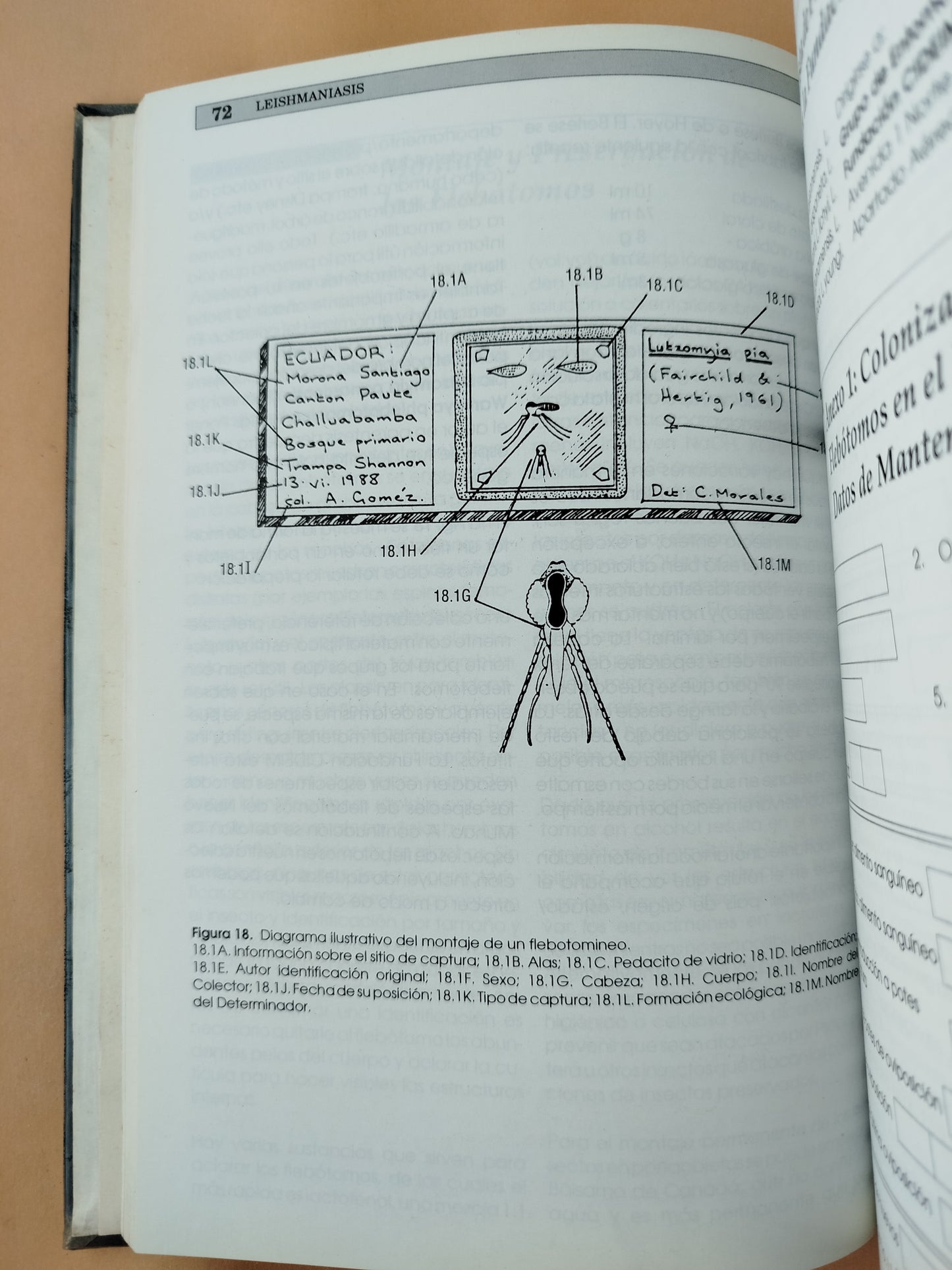 Manual de entomología medica para investigadores de america latina