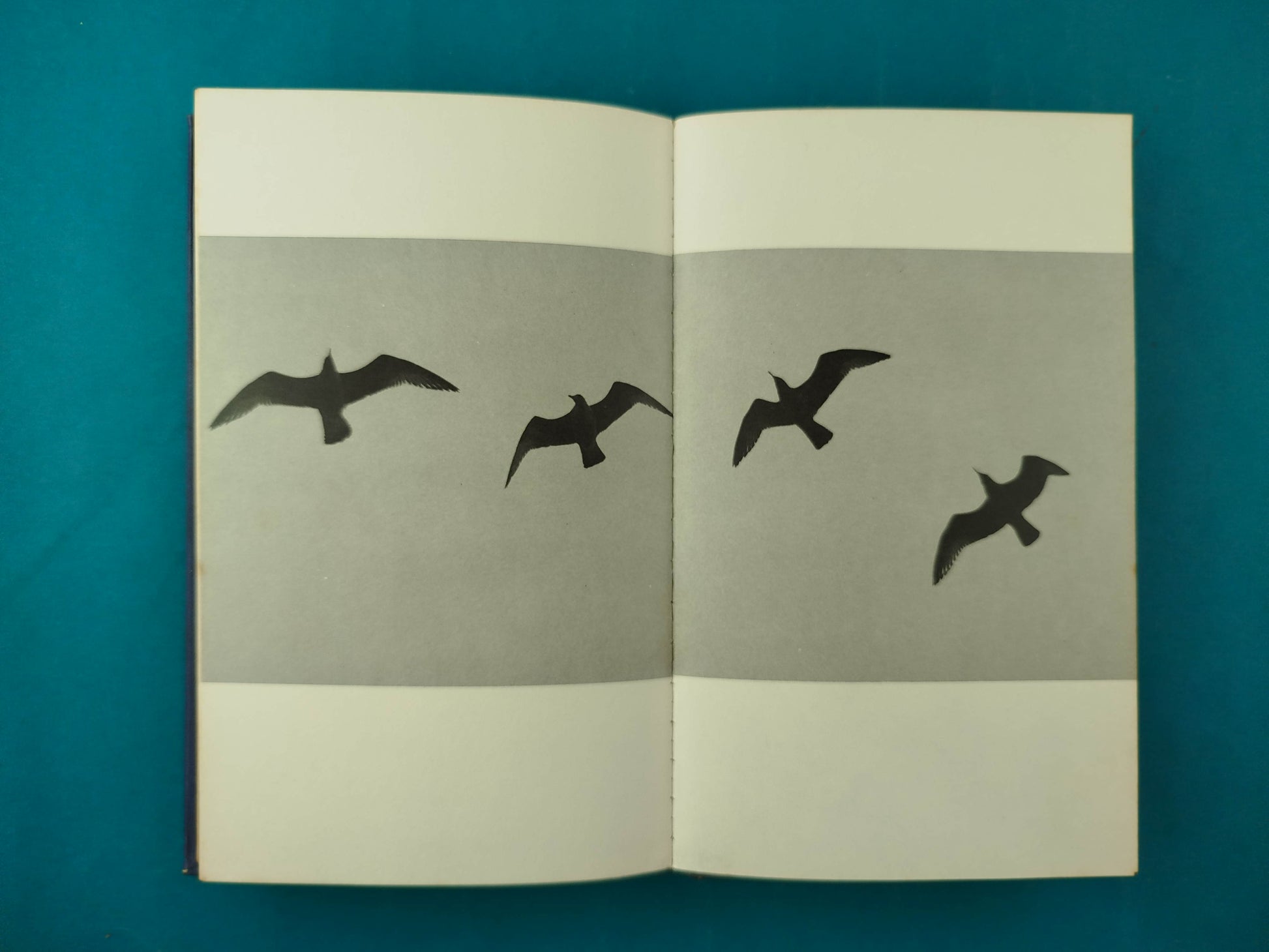 Juan Salvador Gaviota by Richard Bach