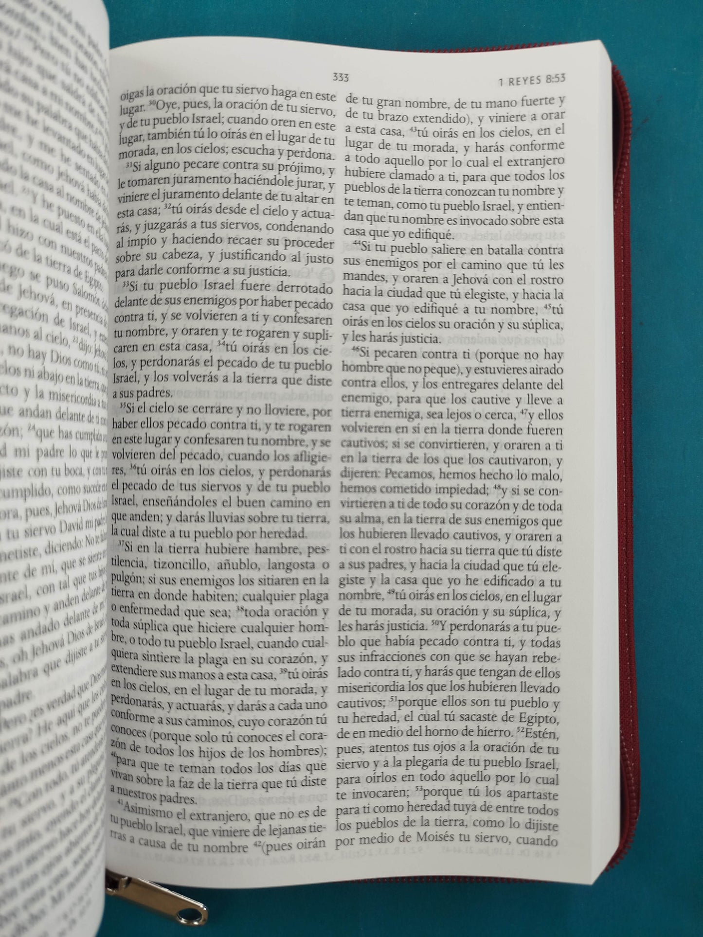 Biblia RVR 1960 Letra Grande Estuche vino tinto con Mariposas