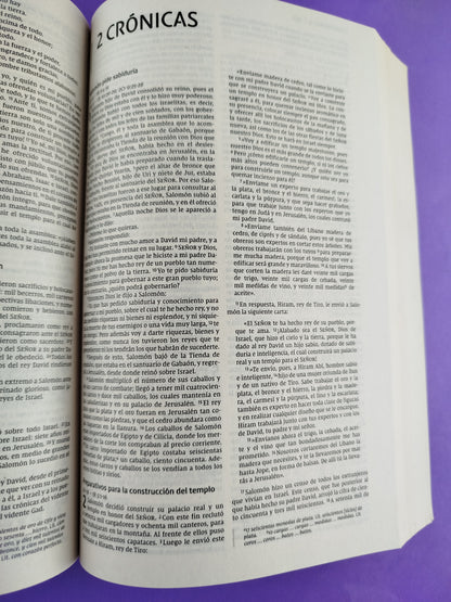 Biblia nvi misionera