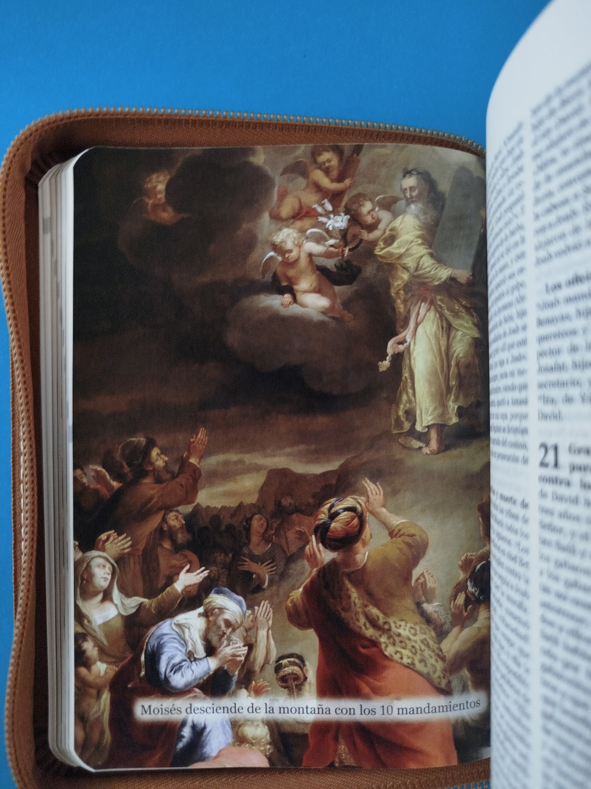 Nuestra sagrada biblia clásica estuche cafe claro by Varios