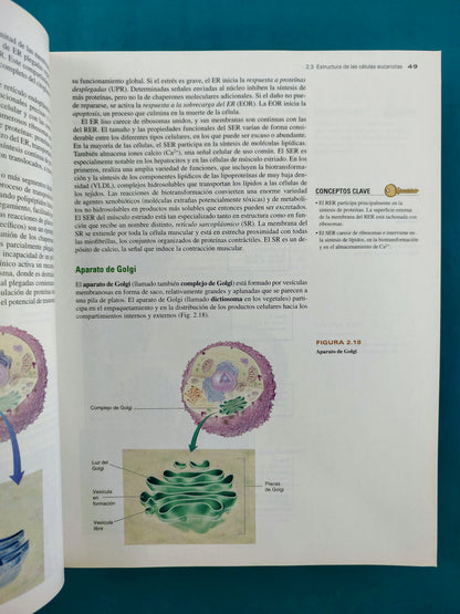 Bioquímica las bases moleculares de la vida cuarta edición