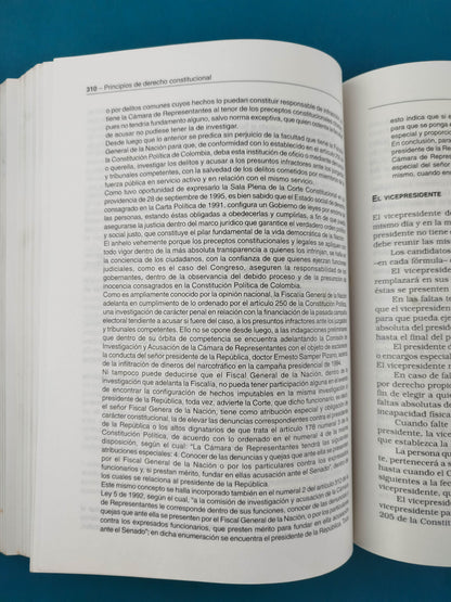 Principios de derecho constitucional