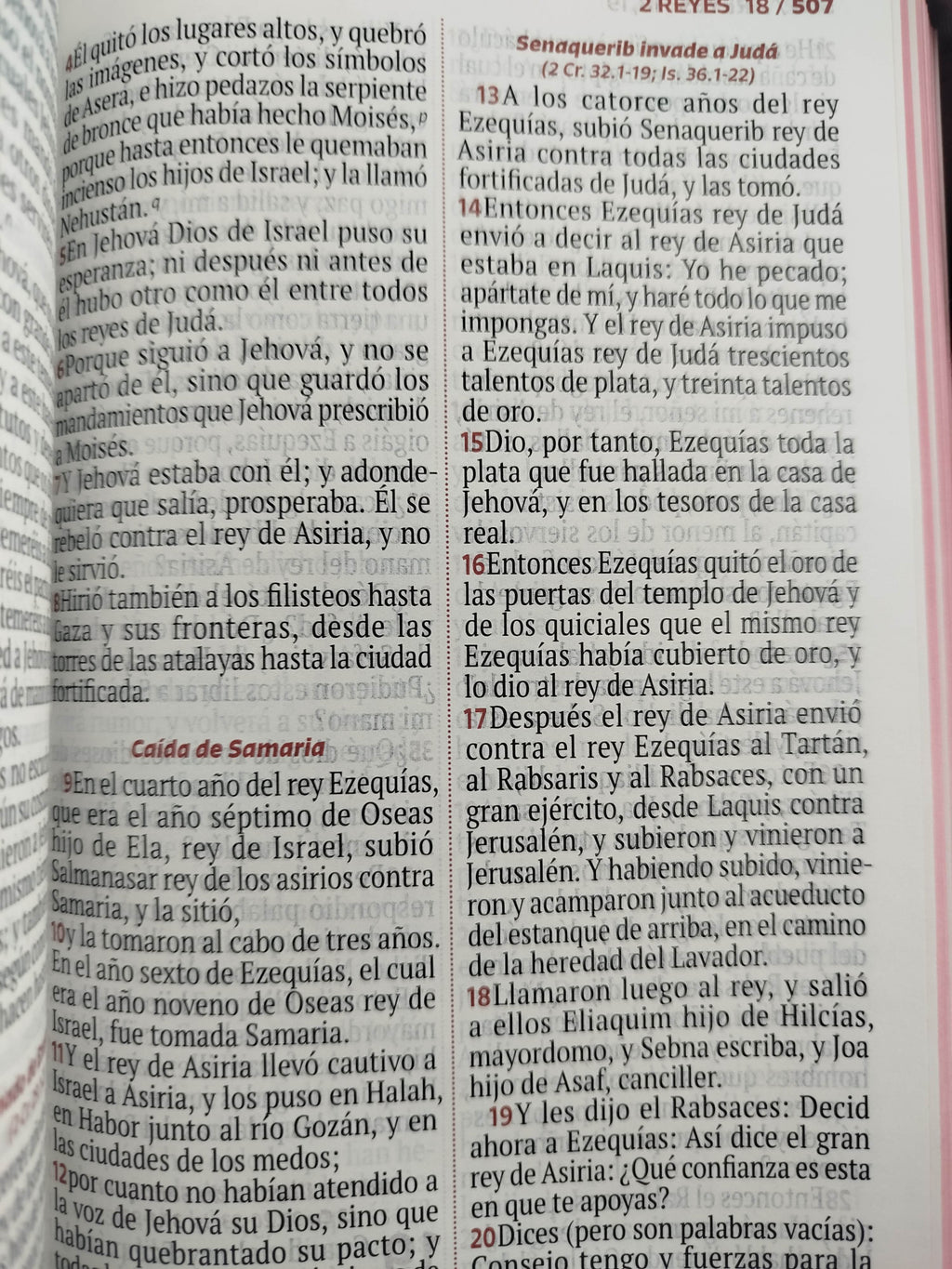 Biblia rvr letra grande rosada flores by Reina Valera 1960