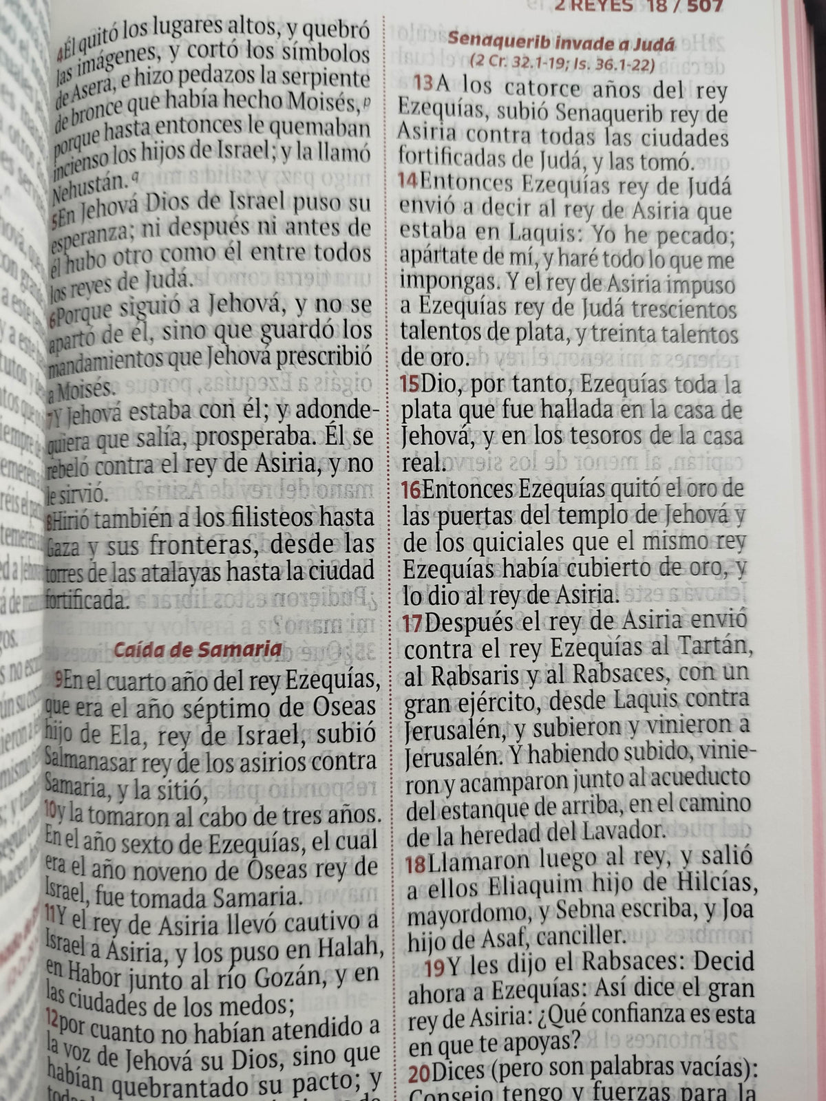 Biblia rvr letra grande rosada flores by Reina Valera 1960