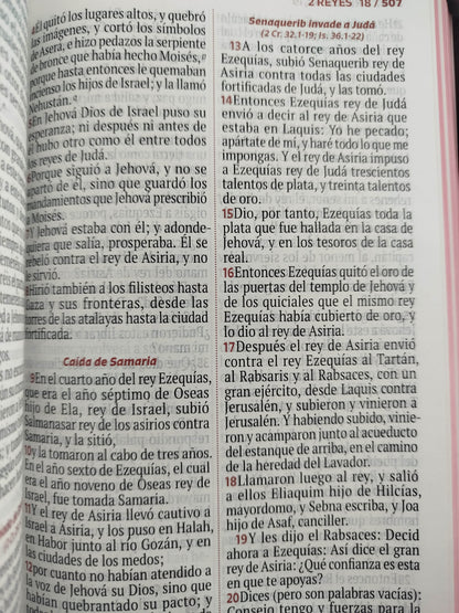 Biblia rvr letra grande rosada flores by Reina Valera 1960