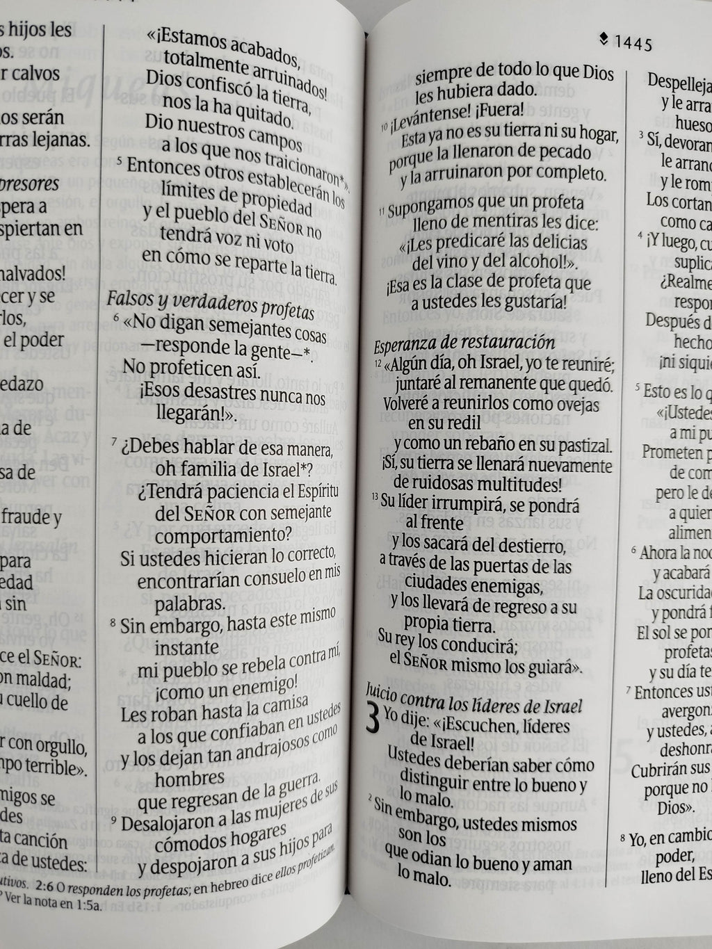Biblia NTV azul flores letra grande by Nueva Traducción Viviente