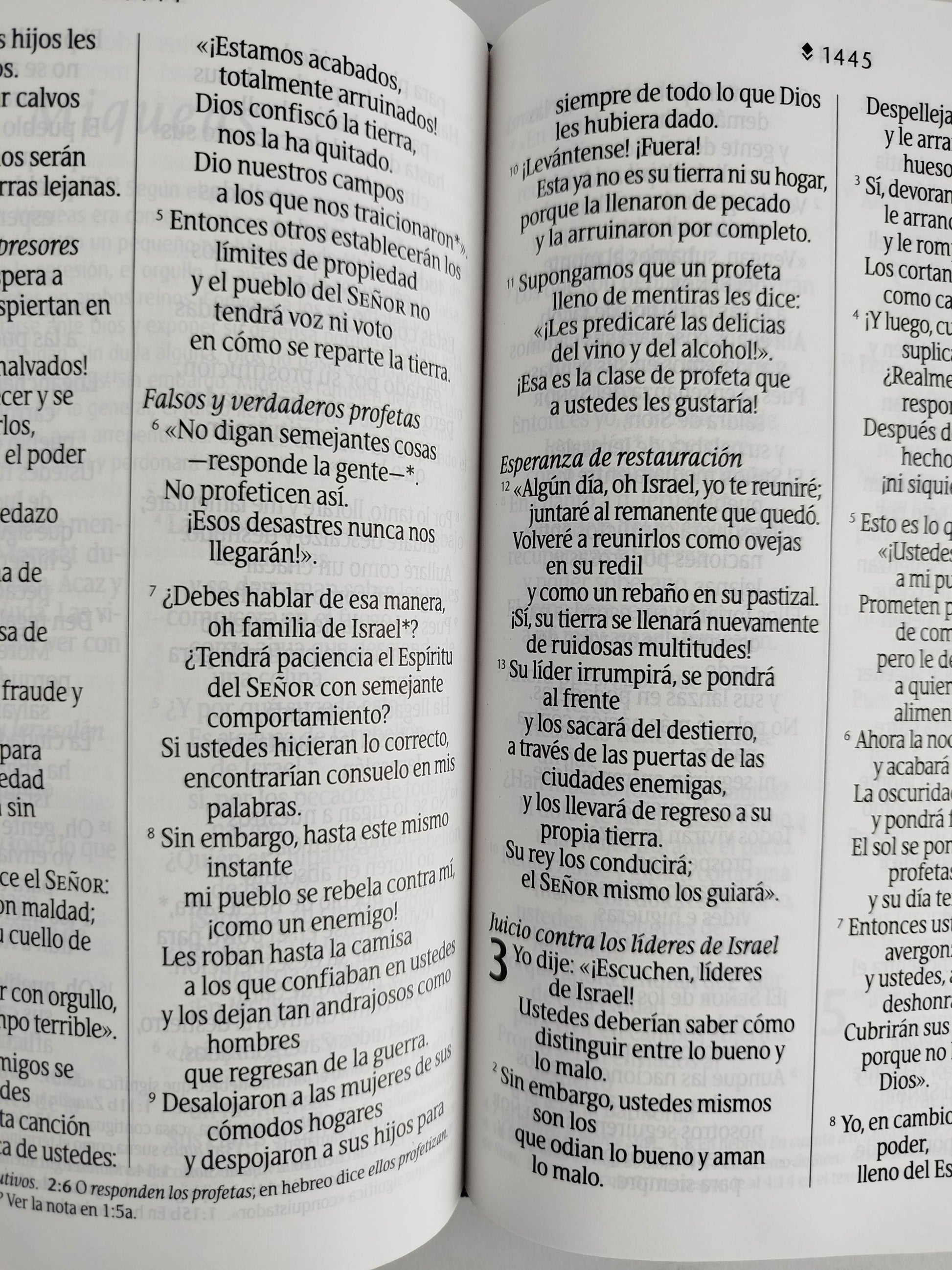 Biblia NTV azul flores letra grande by Nueva Traducción Viviente