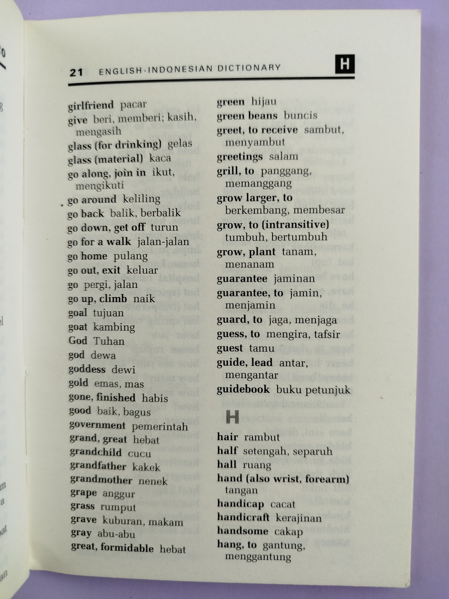 Pocket dictionary english-indonesian - indonesian-english