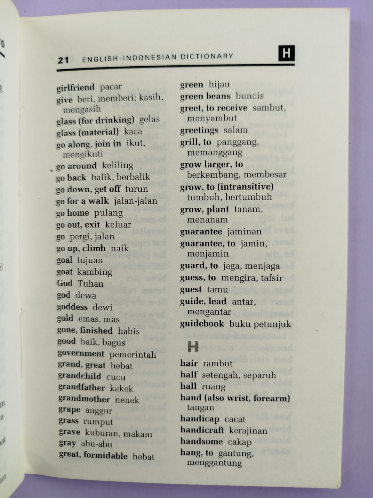 Pocket dictionary english-indonesian - indonesian-english by Periplus