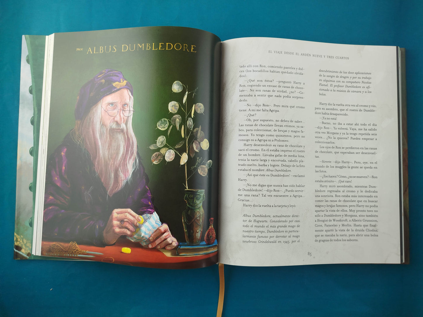 Harry Potter Y La Piedra Filosofal