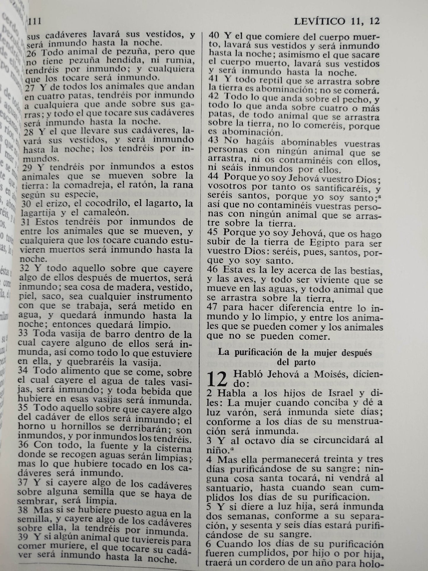 La sagrada biblia rvr 1960 by Reina Valera 1960
