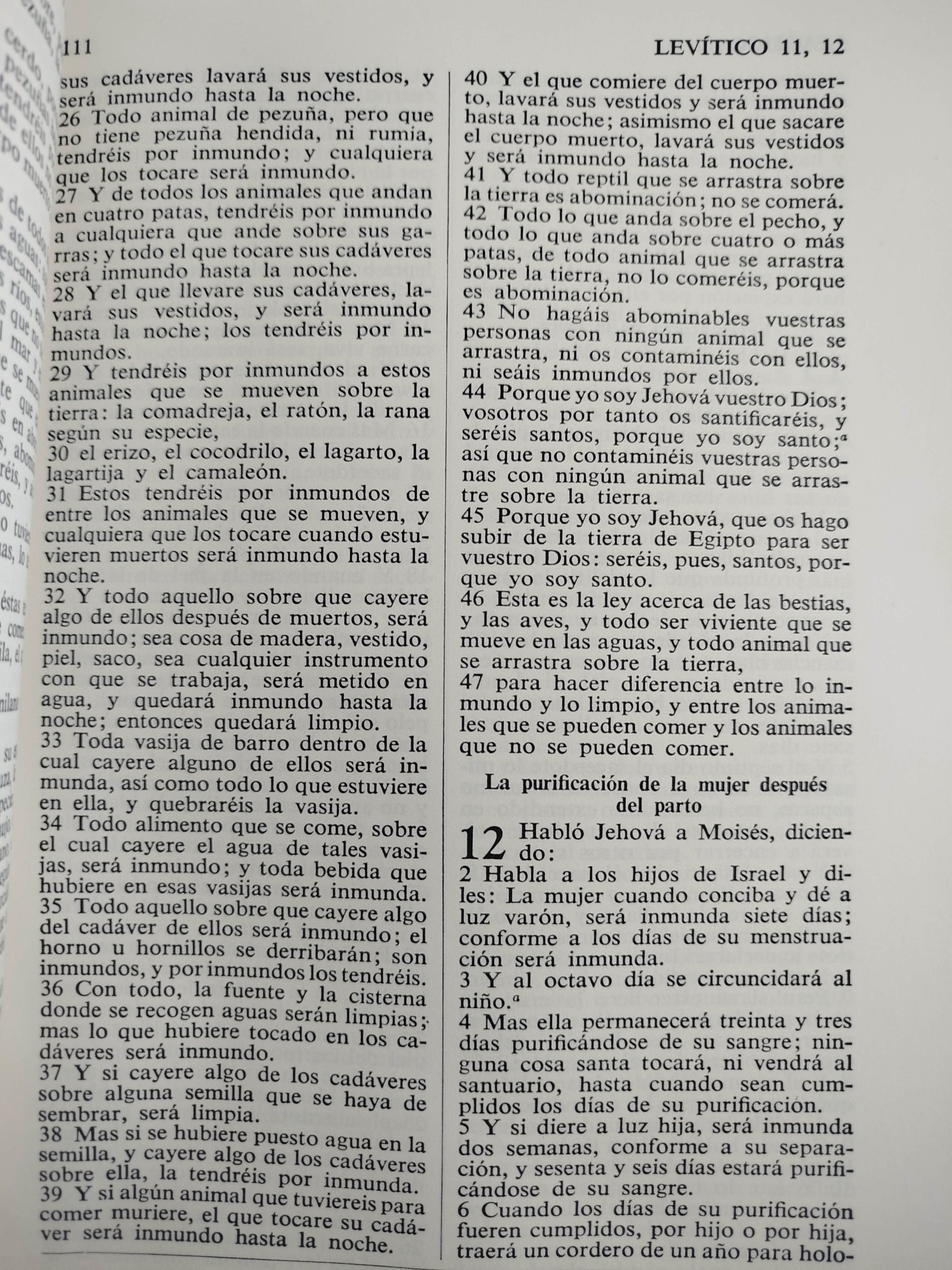La sagrada biblia rvr 1960 by Reina Valera 1960