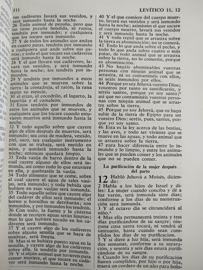 La sagrada biblia rvr 1960 by Reina Valera 1960