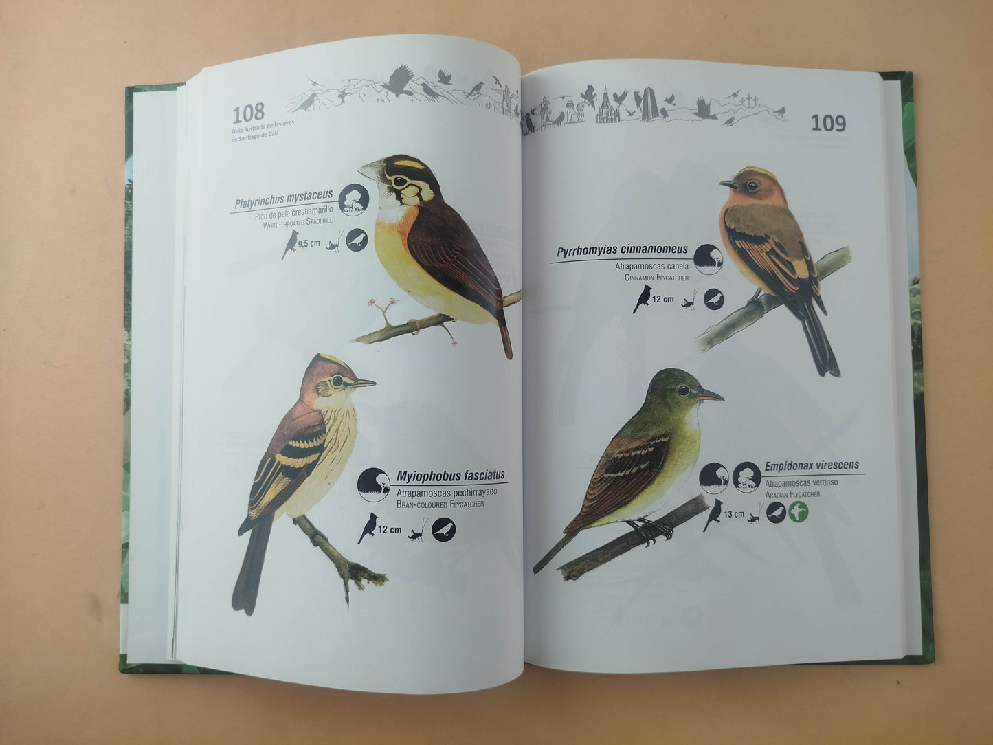Guía ilustrada de las aves de Santiago de Cali by Varios