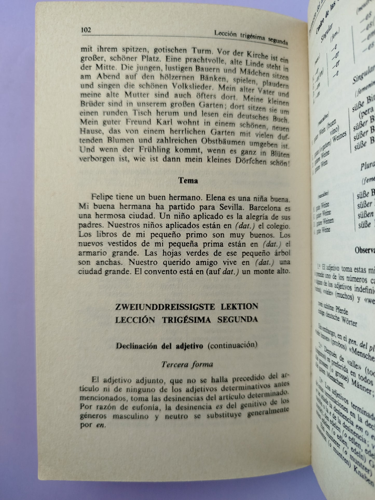 Gramática sucinta de la lengua alemana