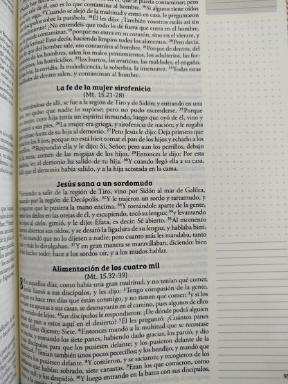 Biblia De Apuntes RVR 1960 TD Negro y oro by reina valera 1960