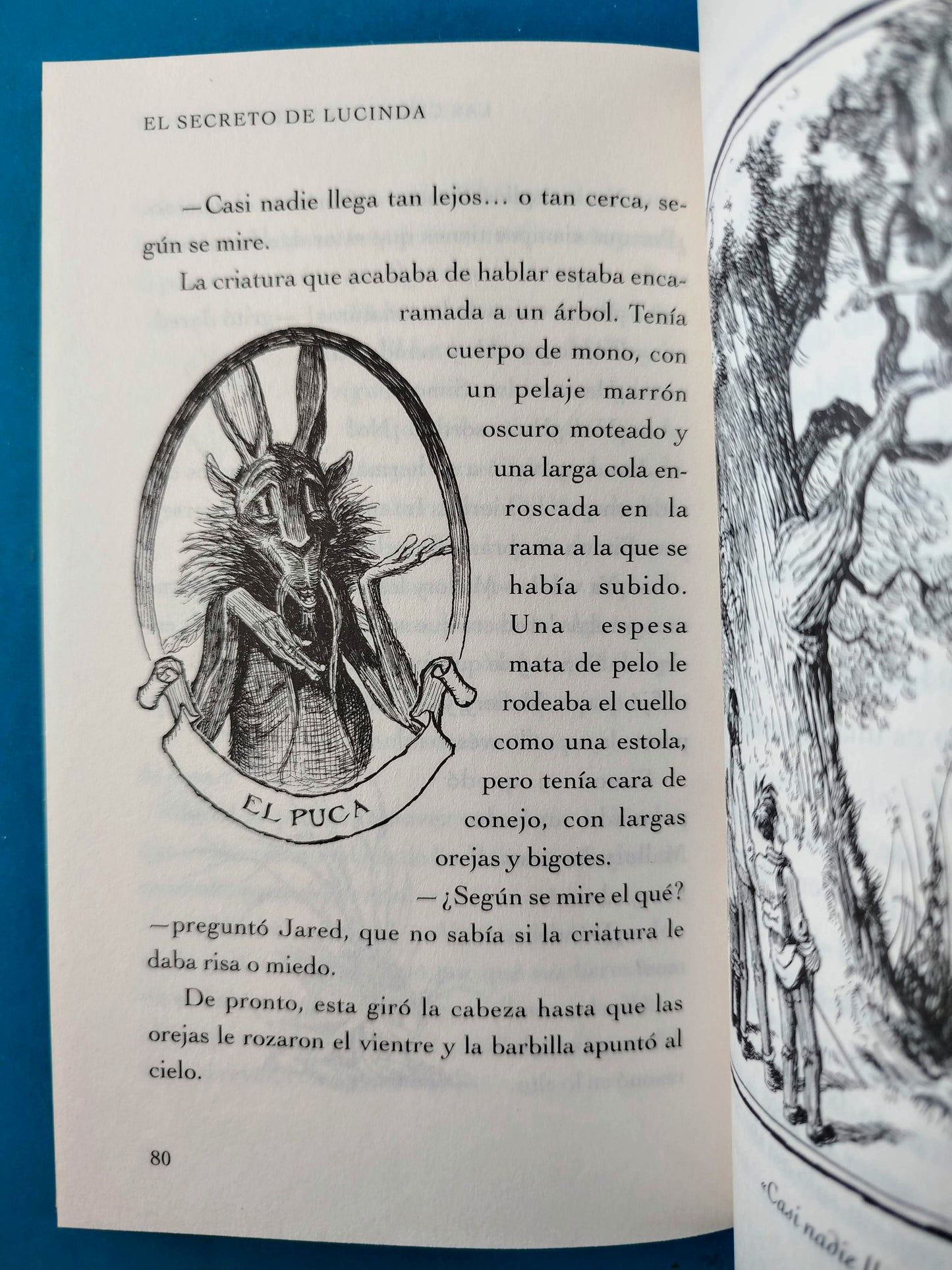 Las crónicas de spiderwick N.3 El secreto de lucida