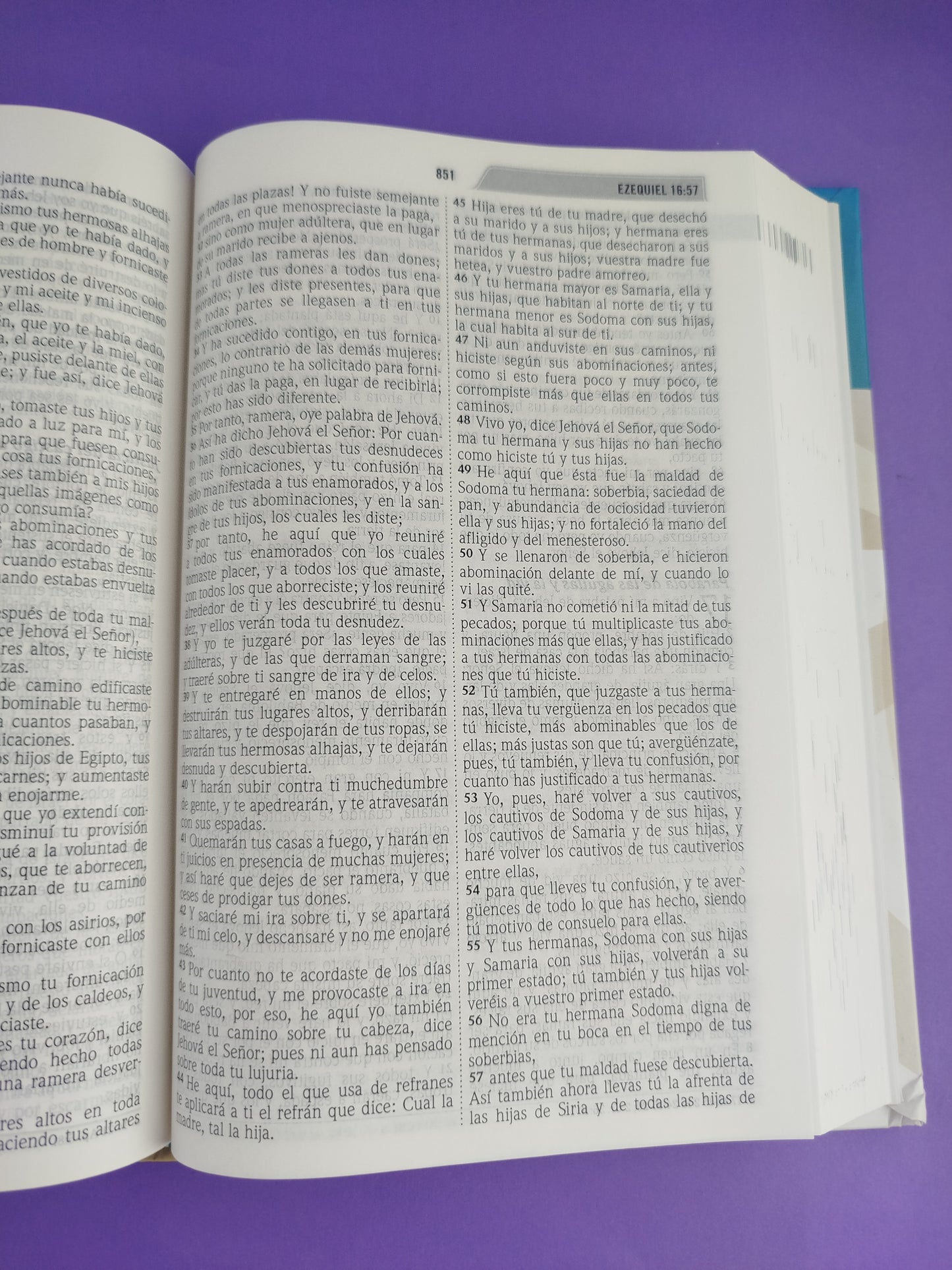 Biblia del discipulo rvr 1960 tapa dura by Reina Valera 1960