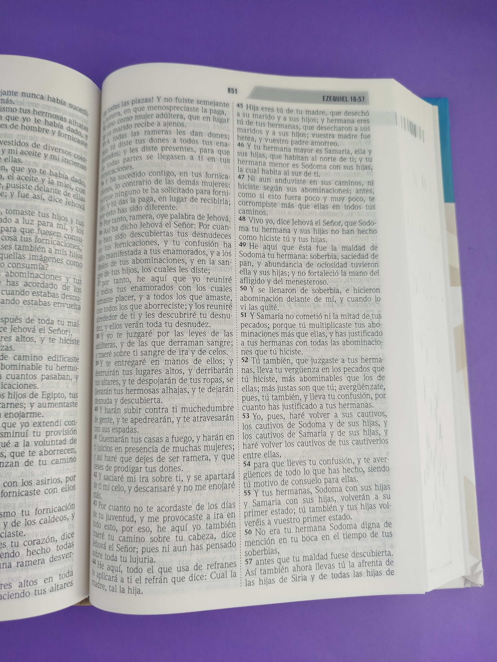 Biblia del discipulo rvr 1960 tapa dura by Reina Valera 1960