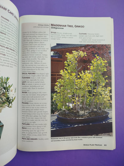 All About Bonsai
