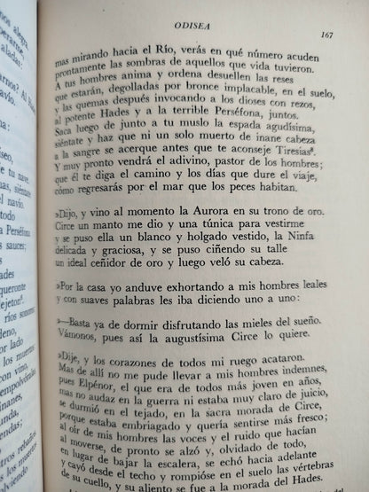 Odisea by Homero