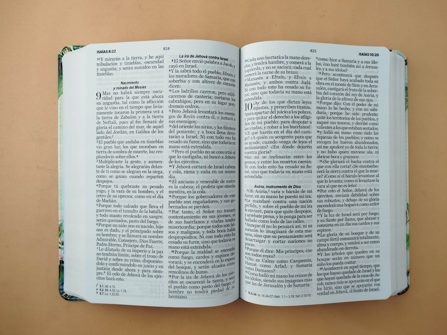 Biblia rvr letra grande vintage borde blanco