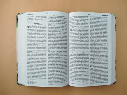 Biblia rvr letra grande vintage borde blanco